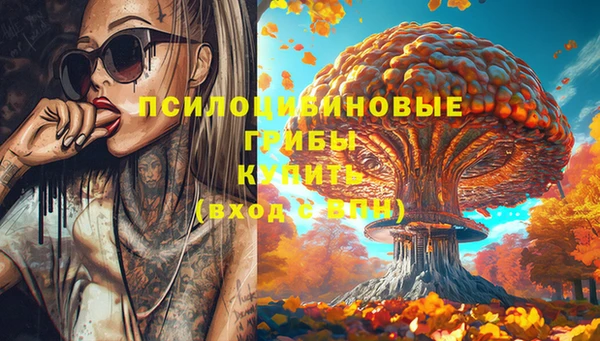 таблы Алексеевка
