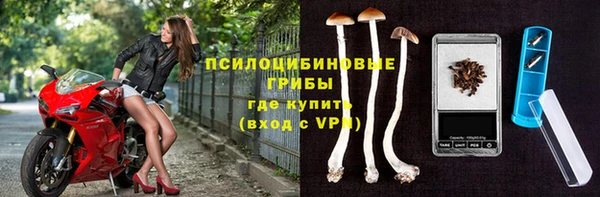 дмт Алексин