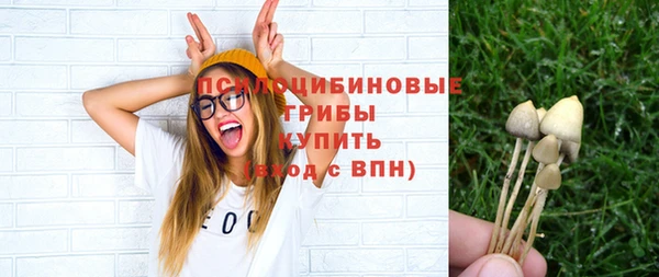 соль курить ск Алзамай