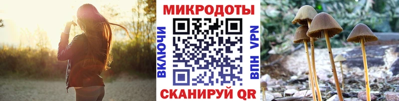 Галлюциногенные грибы GOLDEN TEACHER  что такое   Островной 